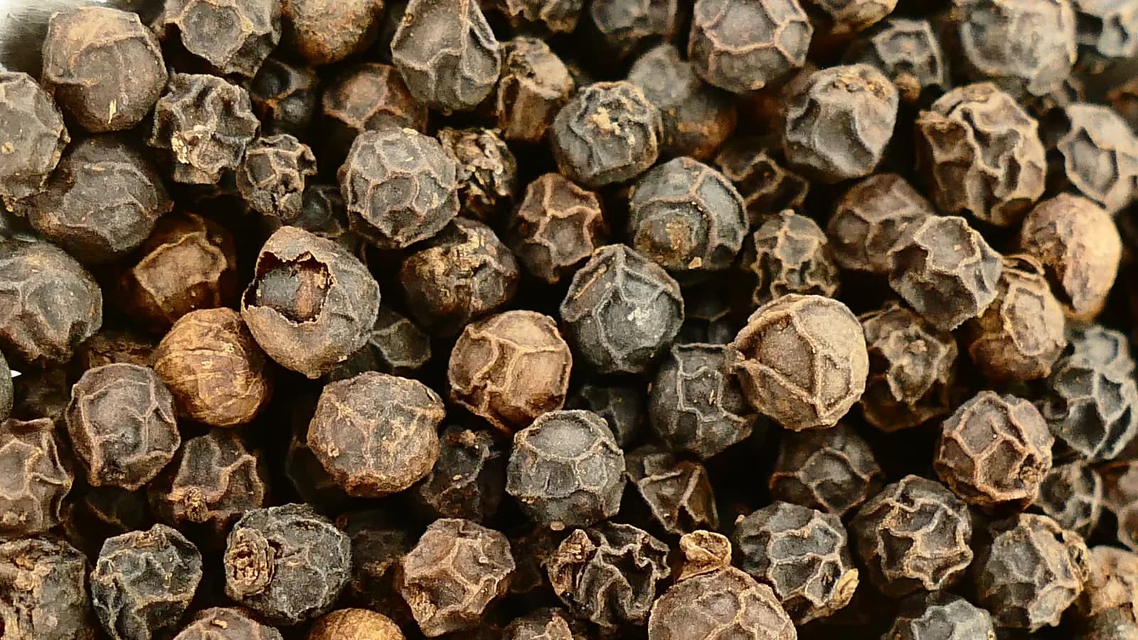 Poivre noir en grains ou moulu : choisir, doser et conserver
