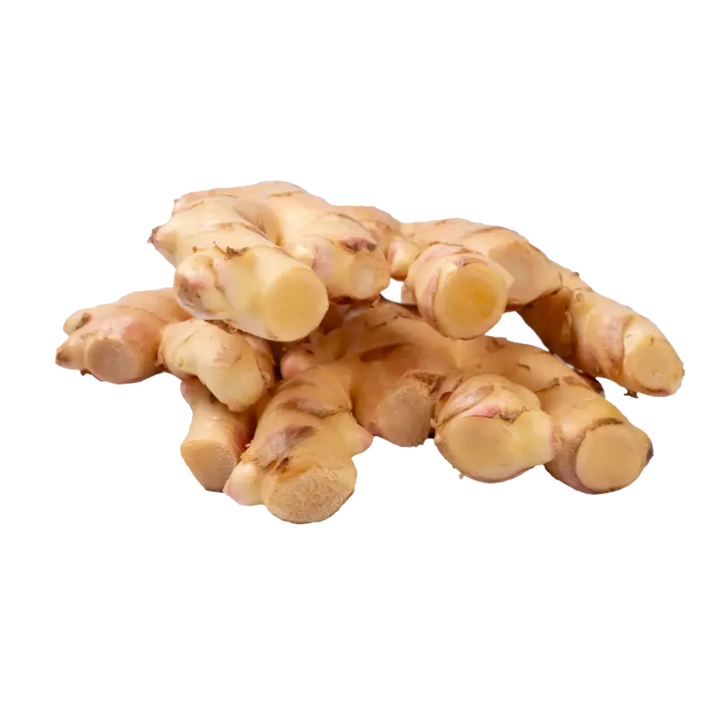 Gingembre Frais Ouganda