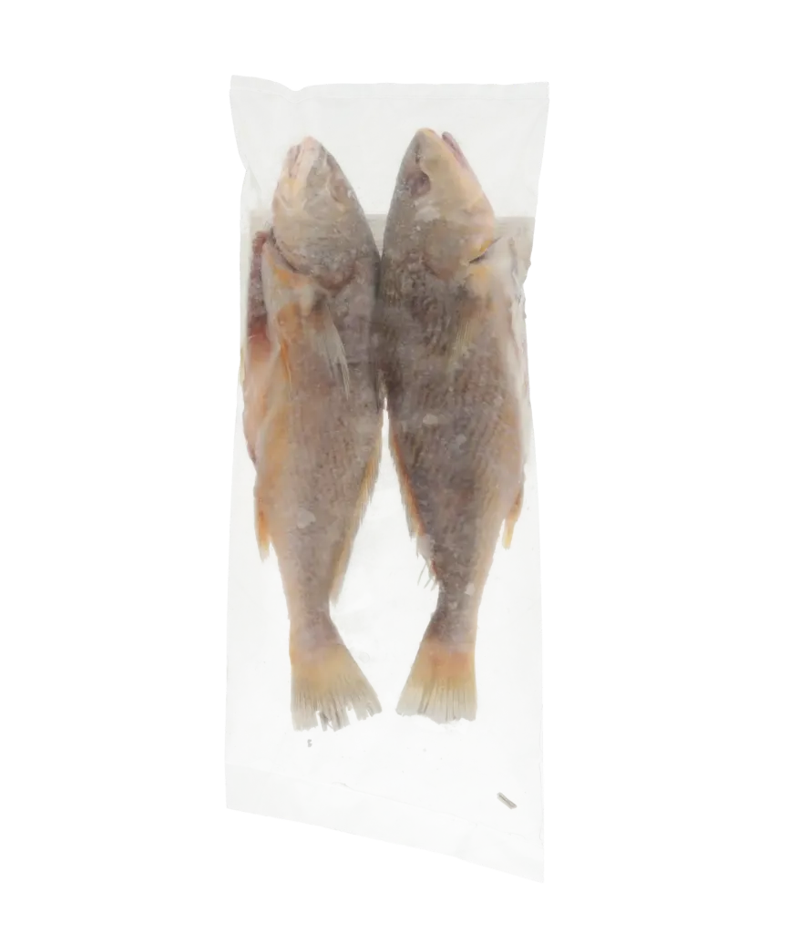 Perfit Croaker G&s 300/1200 (surinam) 8 KG
