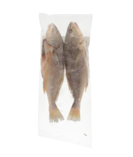 Perfit Croaker G&s 300/1200 (surinam) 8 KG