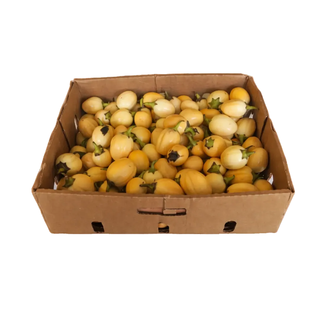 Carton Aubergine 8 KG
