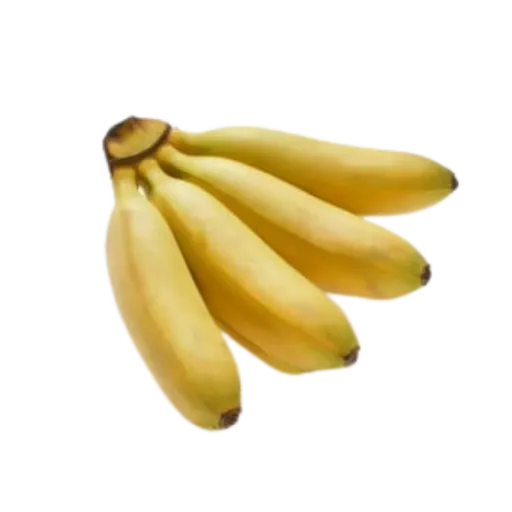 Banane Fifi Petit Ouganda
