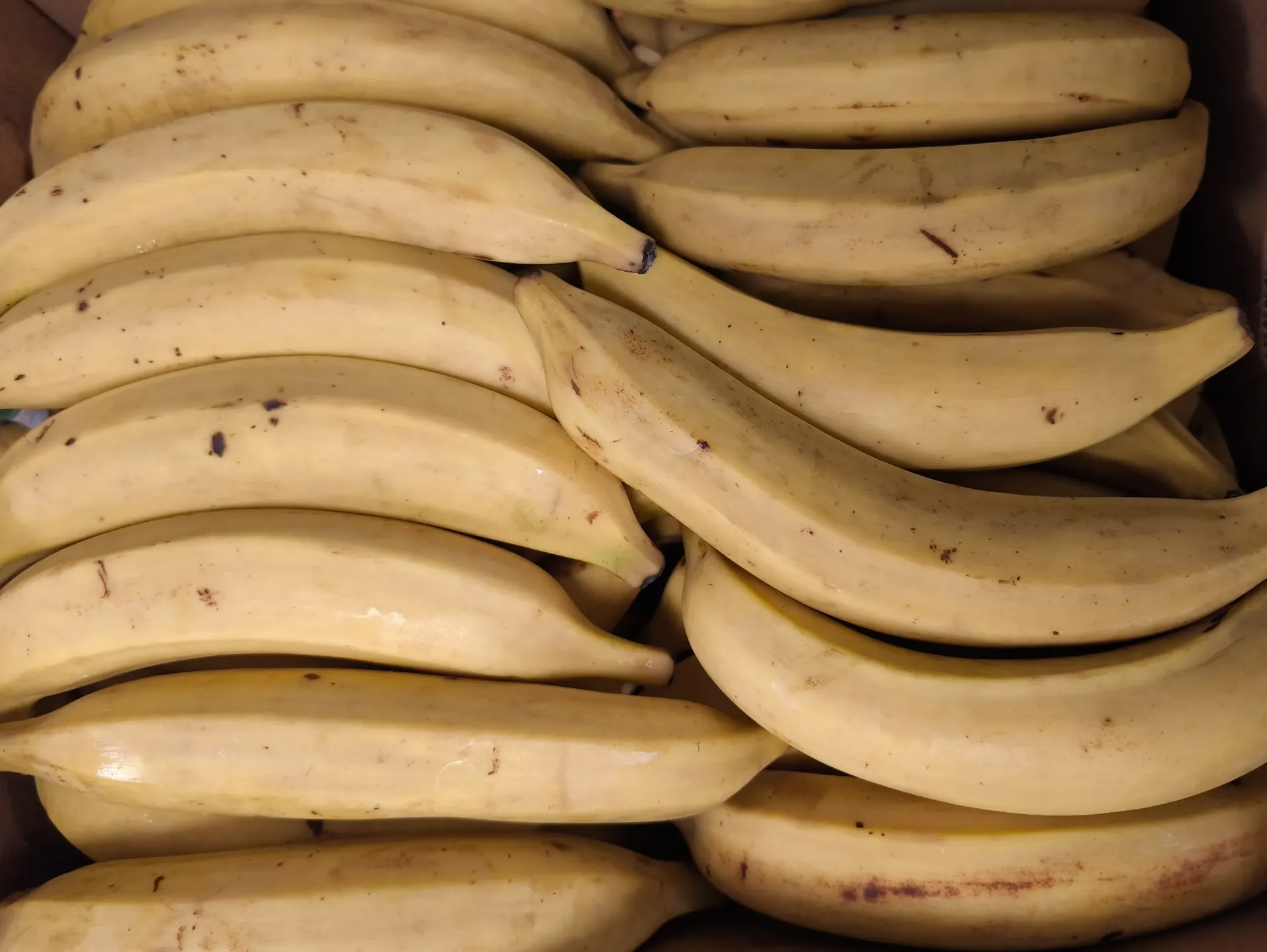 BANANE PLANTAIN