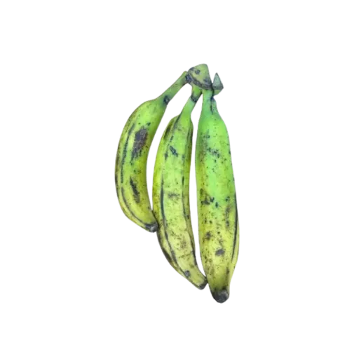 Banana PLANTAIN Cm
