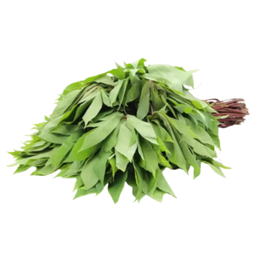 Feuilles de Patates DOUCES-MATEMBE 80 G Issa Guinee