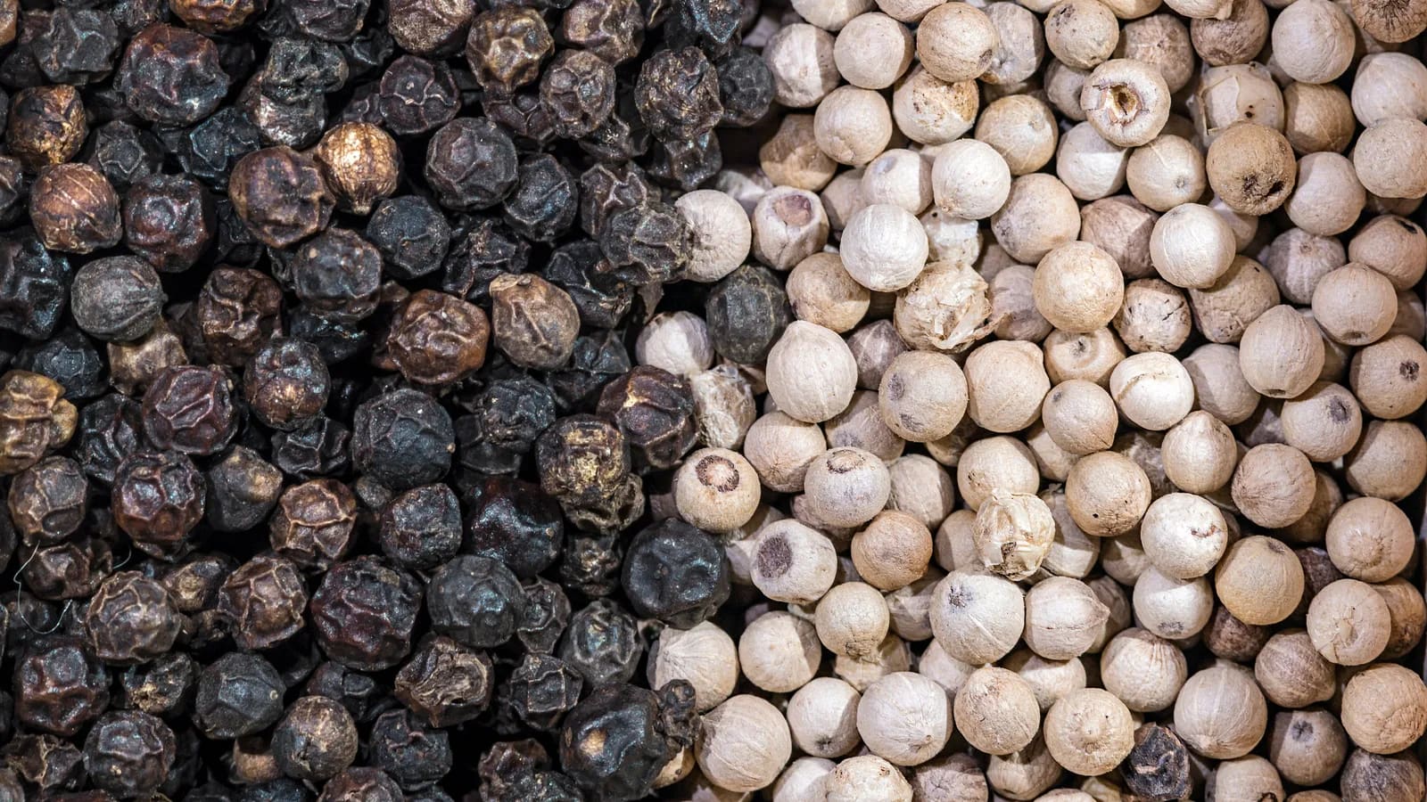 Grains noirs et blancs de poivre de Penja séchés