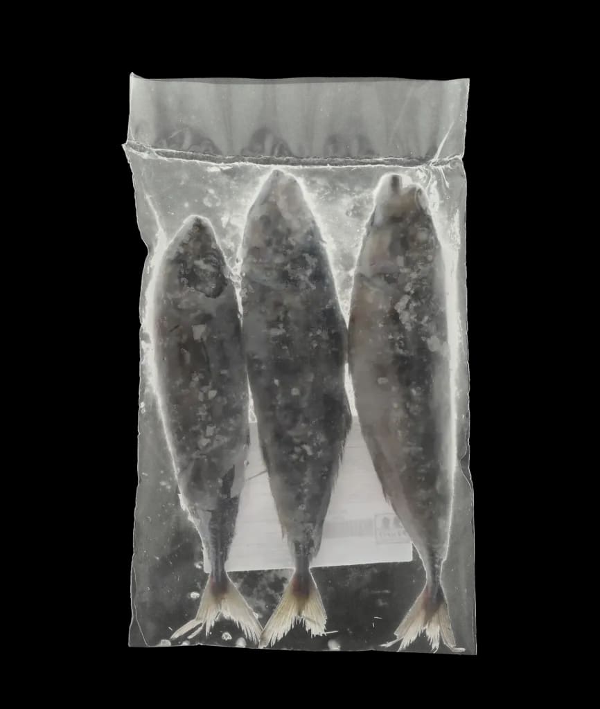 Perfit Horse Mackerel 300/500 Portugal /KG