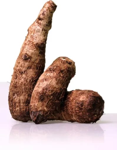 Macabo Ouganda