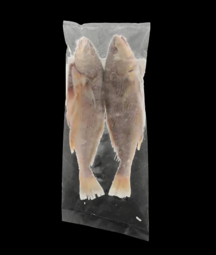 Perfit Croaker G&s 300/1200 (surinam) 8 KG