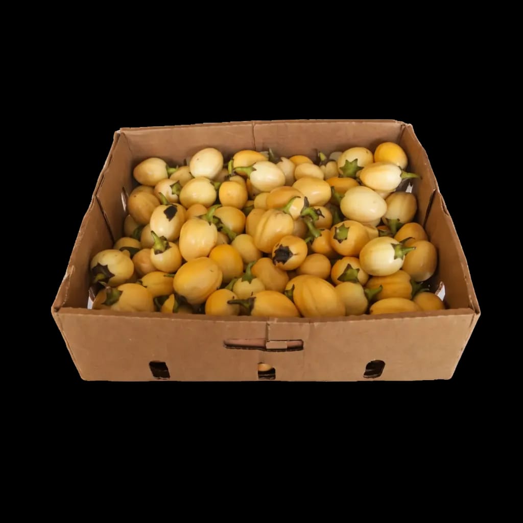 Carton Aubergine 8 KG