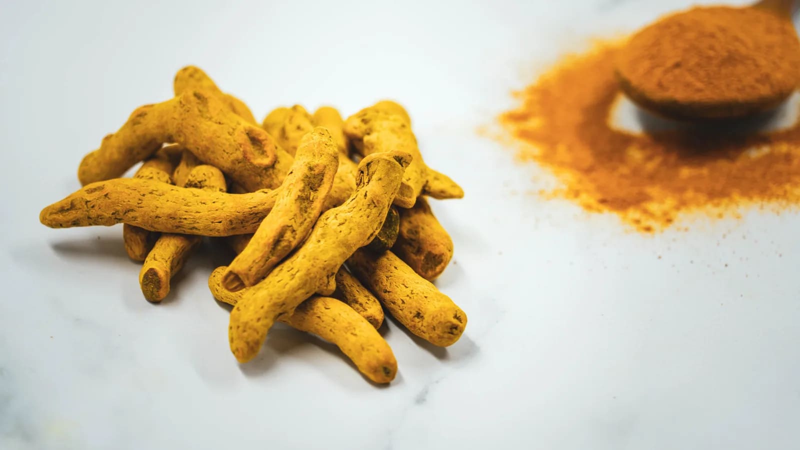 Rhizomes de curcuma frais et poudre jaune dans un récipient